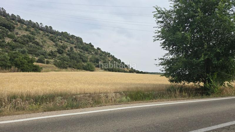 Foto 241038bd-60aa-42f2-829a-2ceee69e7fdb. Finca rústica a Olmeda de las Fuentes