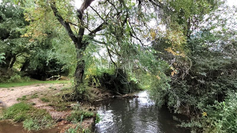 Foto 49f68798-136a-4d25-8dbb-6291db20bb82. Finca rústica a polígono 1 parcela 261 a Olmeda de las Fuentes