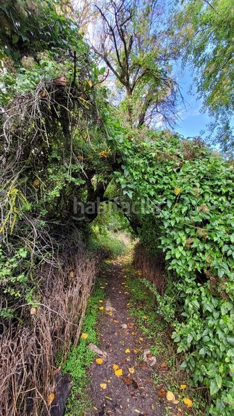 Foto 57bff10b-4451-4e26-9ceb-e5415c4398c5. Finca rústica a polígono 1 parcela 261 a Olmeda de las Fuentes
