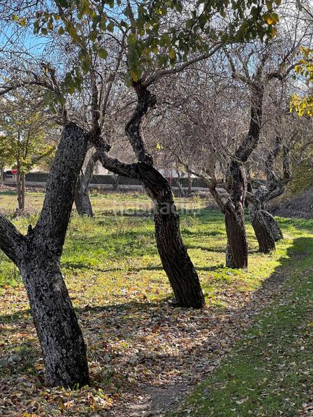 Foto 891dc4a8-0cc6-4b90-a6e1-cca428e39036. Casa in josé de churriguera 4 in Nuevo Baztán pueblo Nuevo Baztán