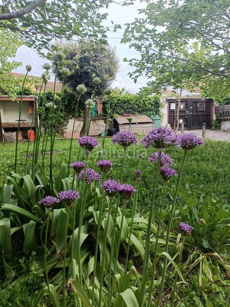 Foto a52699ff-aefb-4525-8134-ec7e3e73d24c. Casa con riscaldamento piscina in Eurovillas Nuevo Baztán