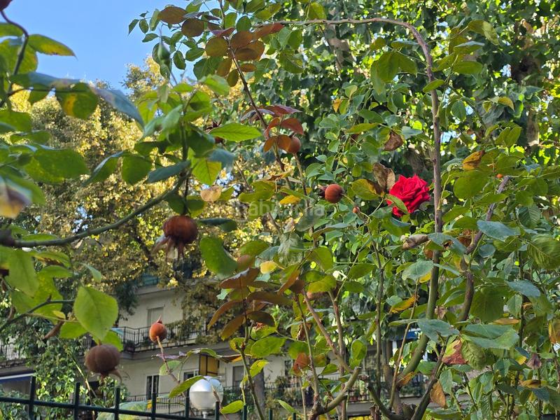 Foto 57a70eaf-931e-4e7a-a891-12c76677e613. Pis amb calefacció piscina a Parque de la Coruña-Las Suertes Collado Villalba