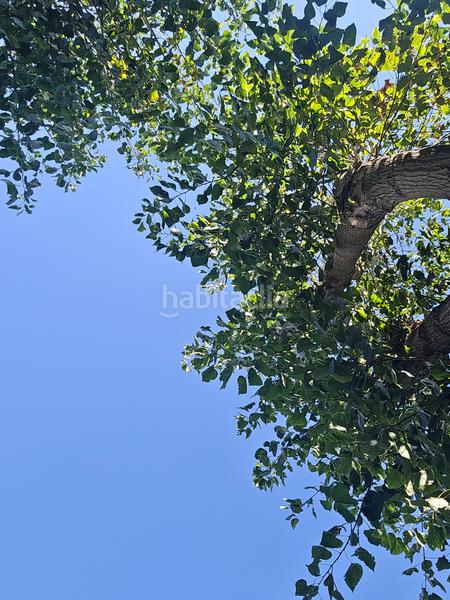 Foto 6609377d-4884-4ce2-a156-b7ed44dc0530. Pis amb calefacció piscina a Parque de la Coruña-Las Suertes Collado Villalba