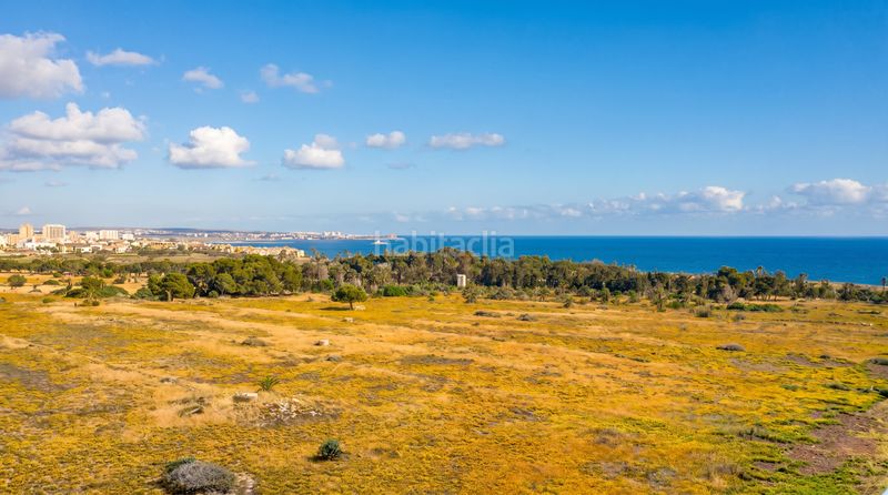 Foto bfd447ea-c676-4055-b51e-174222c1e40e. Àtic amb piscina a Punta Prima Torrevieja