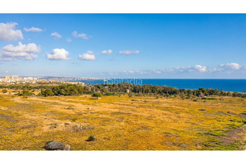 Foto c08f88f4-af18-4c69-818a-2af96a315aac. Àtic a Punta Prima a Punta Prima Torrevieja