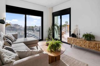 Àtic  Calle gomera, 6. Ático de 2 dormitorios y 2 baños con piscina y jardín en torrevi