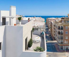 Àtic  Avenida de las habaneras, 67. Ático de 3 dormitorios y 2 baños con piscina y jardín en torrevi