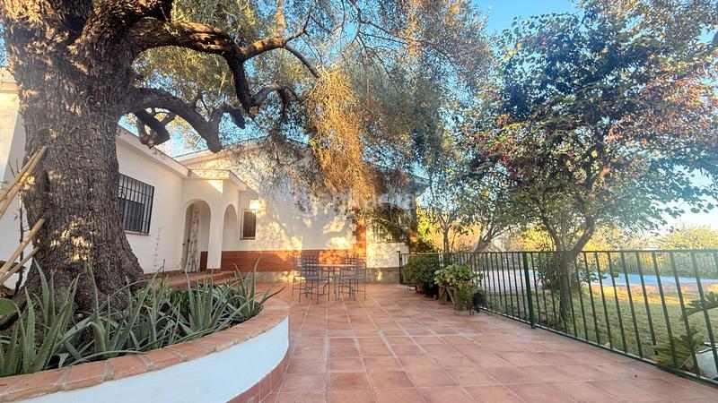 Foto 1d622469-9e50-471a-b335-d374e07c0132. Casa amb xemeneia calefacció aparcament piscina a Almodóvar del Río