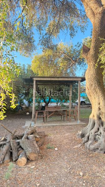 Foto 58145cfe-70ef-4d19-b69c-77ee7443f05b. Casa amb xemeneia calefacció aparcament piscina a Almodóvar del Río