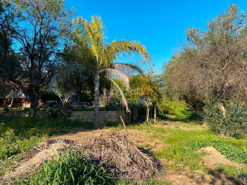 Foto bf4909f2-40a1-4171-ad7a-91249a9c2717. Casa amb xemeneia calefacció aparcament piscina a Almodóvar del Río