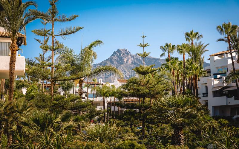 Foto ec984c4f-5358-4ffa-b702-f4debee45203. Piso fully renovated southwest-facing apartment in beachfront en Marbella