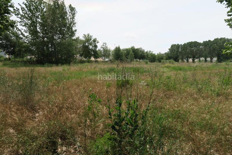 Foto fd4e8eda-da2a-439a-9b90-f572e5752e20. Gewerbliches grundstück in Massanes