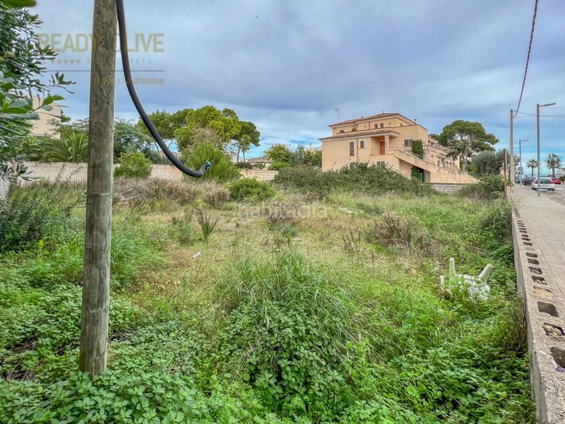 Foto 47c7c787-701b-419a-9b21-c1e33248b211. Terreny residencial a Can Picafort Santa Margalida