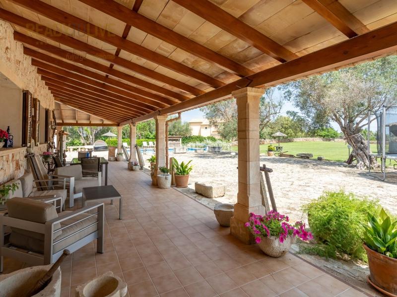 Foto 19da3f51-916d-4ae6-9367-14b806f19d44. Xalet amb aparcament piscina a Santa Margalida poble Santa Margalida