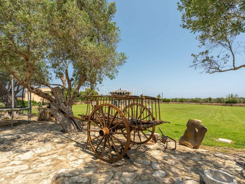 Foto ccdec658-1c95-463e-adb3-d76998b82c16. Xalet amb aparcament piscina a Santa Margalida poble Santa Margalida