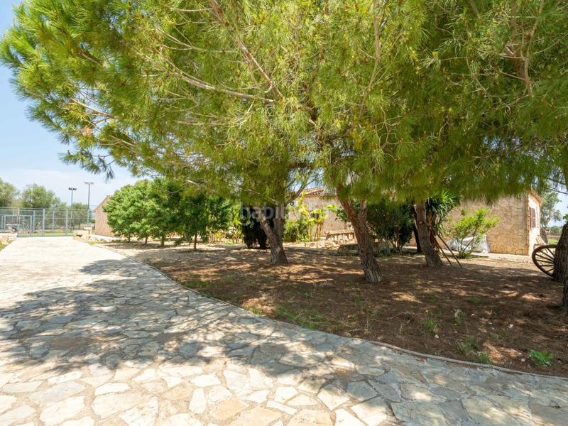 Foto d160a428-e5f4-4a8c-96c2-5ba3d2d77377. Xalet amb aparcament piscina a Santa Margalida poble Santa Margalida