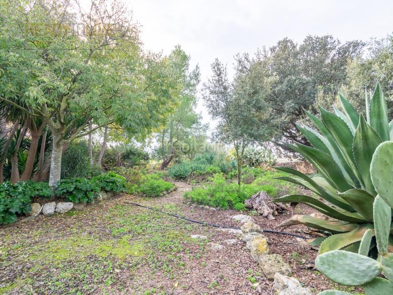 Foto 8037ea6a-4ffa-43c9-8eb4-99349716c178. Casa amb calefacció aparcament piscina a Ariany