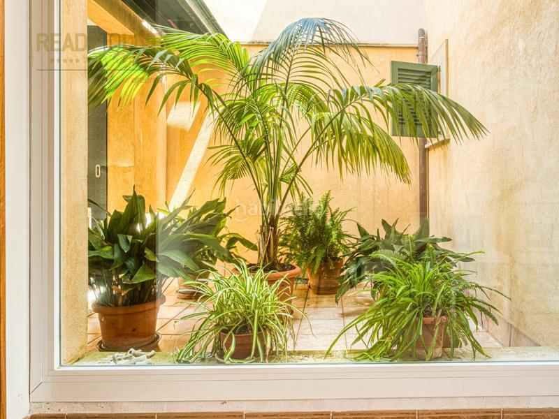 Foto daadb5a7-172d-4e08-80df-b7151b35b7ac. Casa adossada amb aparcament piscina a port d´Alcúdia-platja dálcúdia Alcúdia