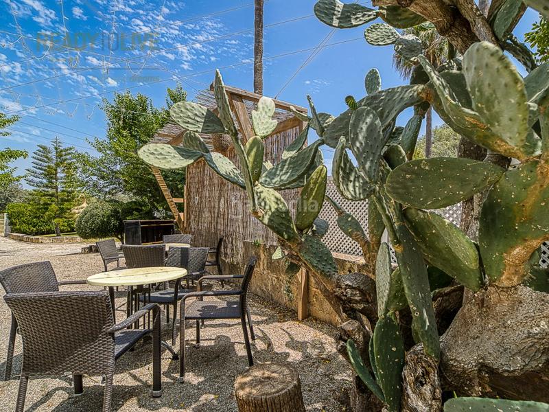 Foto 456e7195-4ee7-4ccf-a8d9-92eb8f03021e. Casa amb piscina a ciutat d´Alcúdia Alcúdia