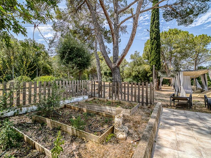 Foto a4de03f7-7ecd-44b8-8198-7db82155610c. Casa amb piscina a ciutat d´Alcúdia Alcúdia