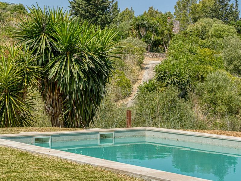 Foto 87dfa9dd-67c3-461b-8e41-e3a73d61dc6b. Casa amb aparcament piscina a ciutat d´Alcúdia Alcúdia