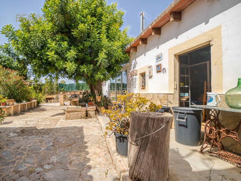 Foto 85efdf52-72c2-4d6e-a953-628f9af13f60. Casa  mallorquina con excelente conexión en pont dinca en Marratxí