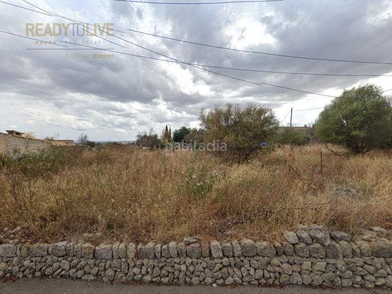 Foto 787d4e90-d36d-4bb9-97a4-03e695ff8a7a. Residential plot in Campanet