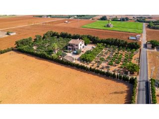 Masia  Cami gorrions pol.9. Bienvenido a la tranquilidad en sa pobla!