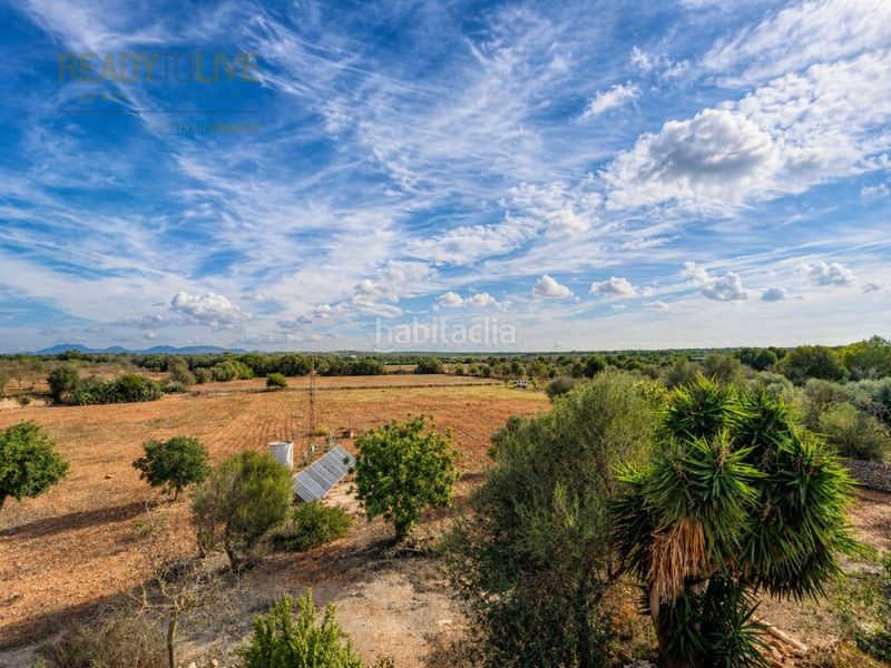 Foto 5da87838-01fb-4ce6-8257-1754e77fb040. Masia amb aparcament piscina a Ses Salines poble Ses Salines