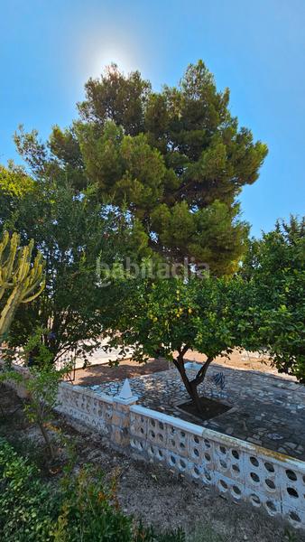 Foto 22208051-1ccd-428b-b16b-144df30025ec. Xalet amb xemeneia aparcament piscina a Campello Pueblo Campello (el)