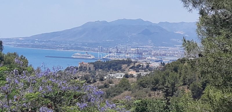 Foto 0b1ba0ef-1fe9-481e-985c-5414b77fdf83. Xalet amb aparcament piscina a Miraflores del Palo Málaga