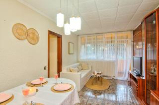 Pis a Canyelles. Planta baja en venta en canyelles, barcelona