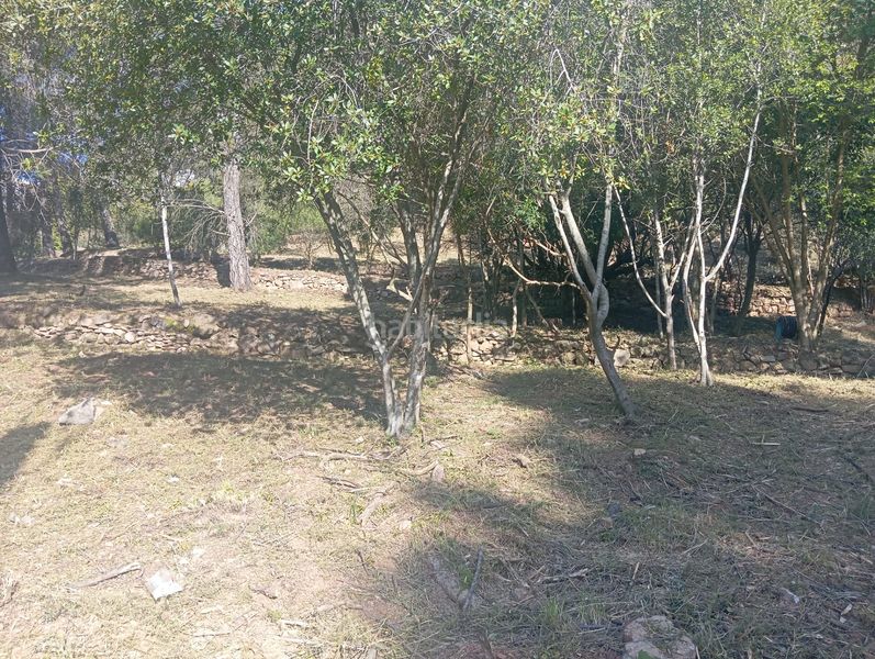 Foto 4af42617-396e-48ac-9104-63d1e8cd555a. Wohngrundstück in Pallejà