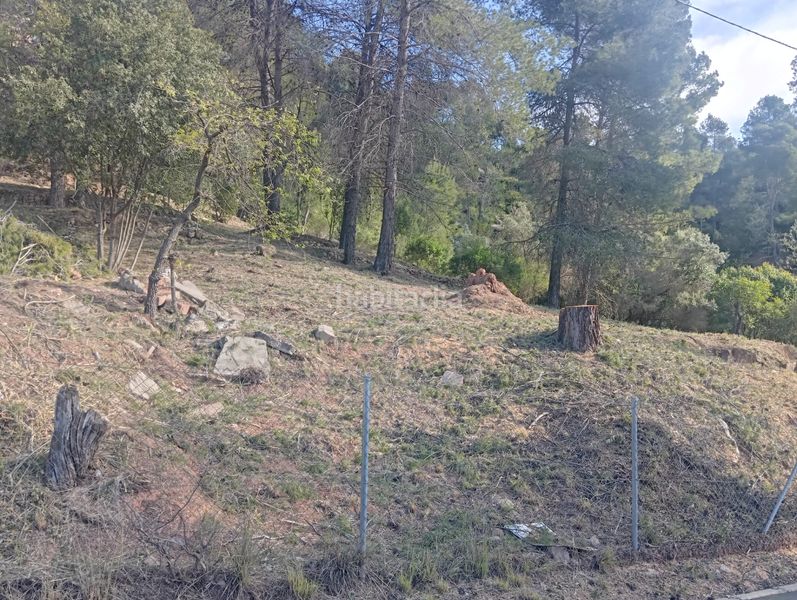 Foto 91c843bd-5815-4b38-bc55-eadf30abd2c8. Wohngrundstück in Pallejà