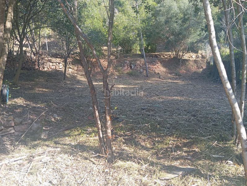 Foto a639909e-73cc-46ca-be83-f58d526d3310. Wohngrundstück in Pallejà