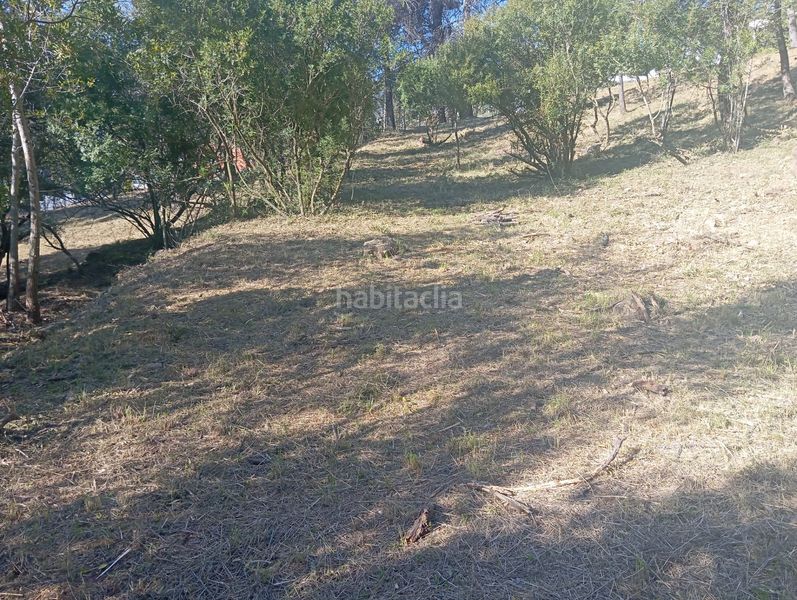 Foto cc1bb365-4b15-4e85-b2ec-e05ddbe0a808. Wohngrundstück in Pallejà