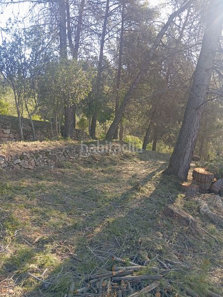 Foto dc39b156-a498-4ceb-880f-538163dd2ca8. Wohngrundstück in Pallejà