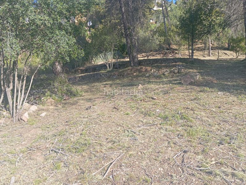 Foto e32b6441-704b-40f7-9996-654cec7955e7. Wohngrundstück in Pallejà