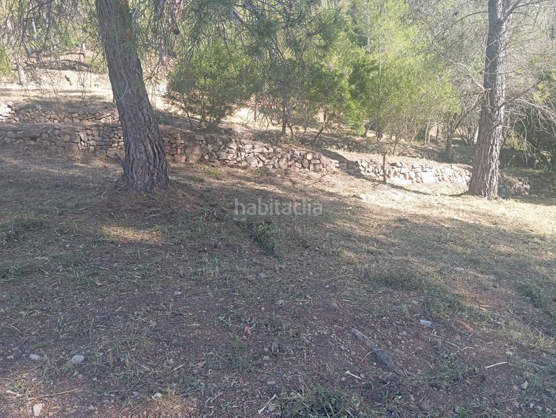 Foto f80eed52-a46d-43bd-9825-f20271126017. Wohngrundstück in Pallejà