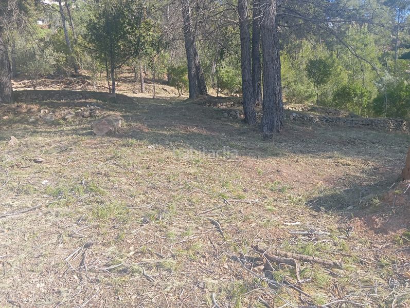 Foto fa05cd4c-ed3f-40b9-be59-35321f1037a8. Wohngrundstück in Pallejà