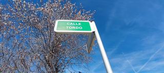 Terreny residencial en Camarma de Esteruelas