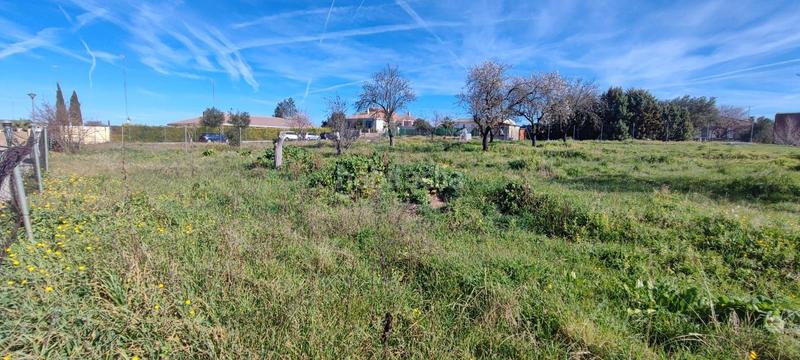 Foto 3a6e3f9a-9f07-4741-a64f-08c6f09cfdd0. Terrain résidentiel dans Camarma de Esteruelas