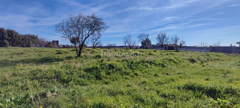 Foto 64cbaaf9-b27f-4d72-89fa-a02fae27a1f1. Terrain résidentiel dans Camarma de Esteruelas
