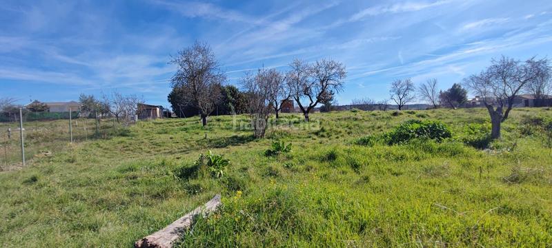 Foto a955fcfe-222d-44db-b4bc-7419c76d756a. Terrain résidentiel dans Camarma de Esteruelas