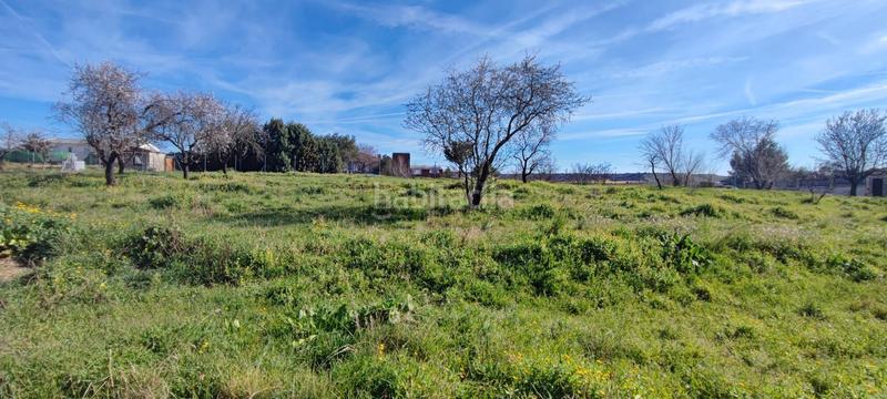 Foto b0c768d6-e804-40bc-9984-28ebd963b6ba. Terrain résidentiel dans Camarma de Esteruelas