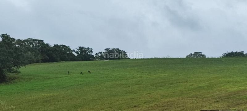 Foto 6d16994a-1fef-46af-a5dc-b473f8e33852. Terreno residencial en Uceda