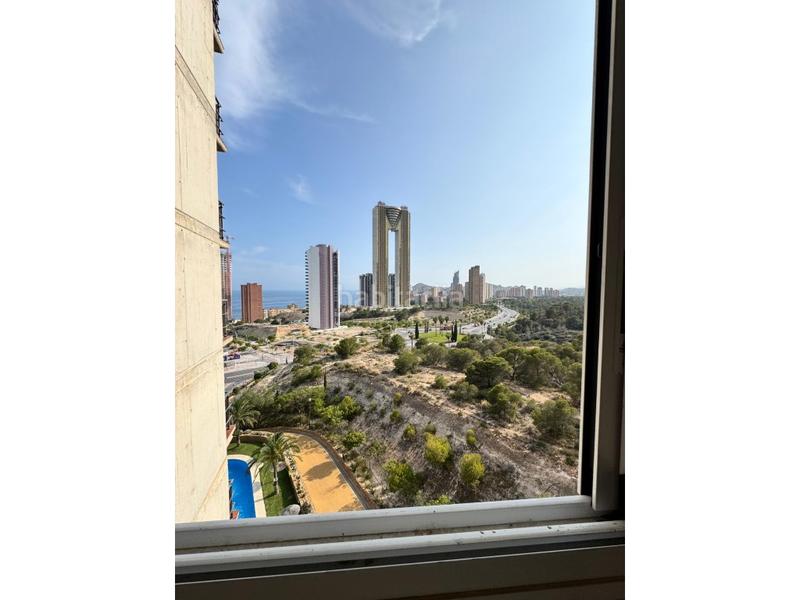 Foto db09c965-4e5f-4548-8659-cefc47a25b30. Piccolo appartamento con parcheggio in Via Parque Benidorm