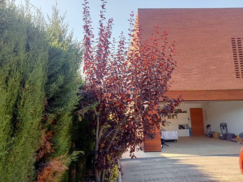 Foto 74140d9b-2fef-410a-8dbc-965acaf65fbe. Chalet with fireplace heating parking pool in Castellvell del Camp