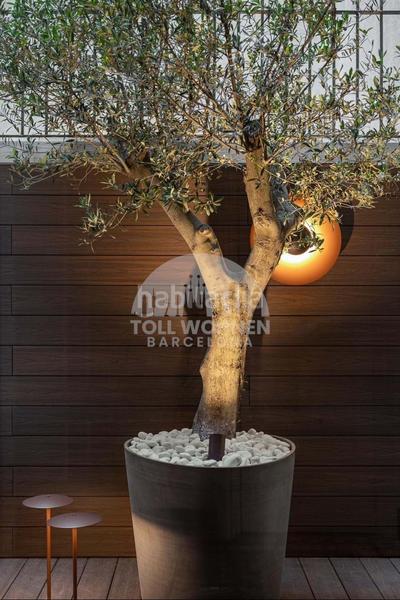 Foto e6cfa953-6fc6-4917-928a-c57b4d241dfc. Alquiler piso en Dreta de l´Eixample Barcelona