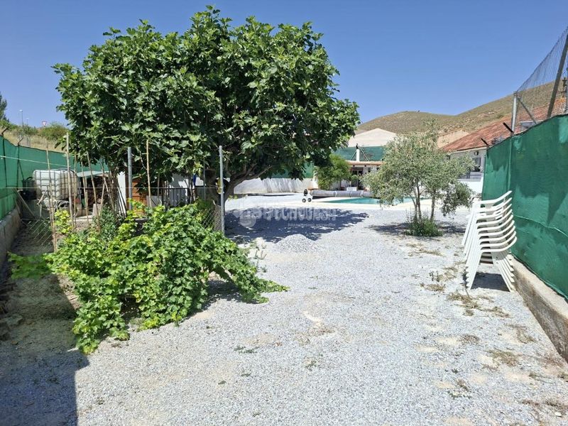 Foto cb2940ae-5f64-42e2-b866-5f925fe7cd41. Casa amb calefacció aparcament a Zújar